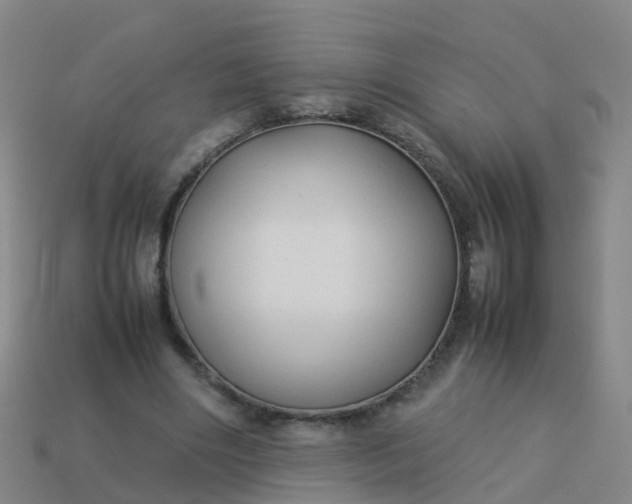 X0000114110490200910191706