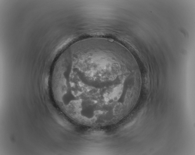 X0000114110491200910191706