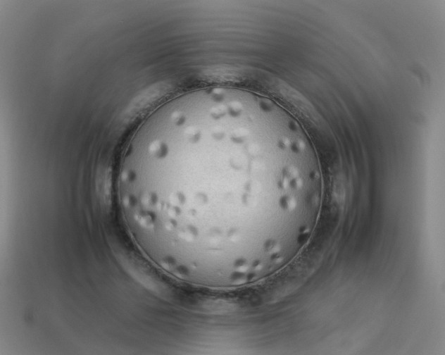 X0000114110494200910191706