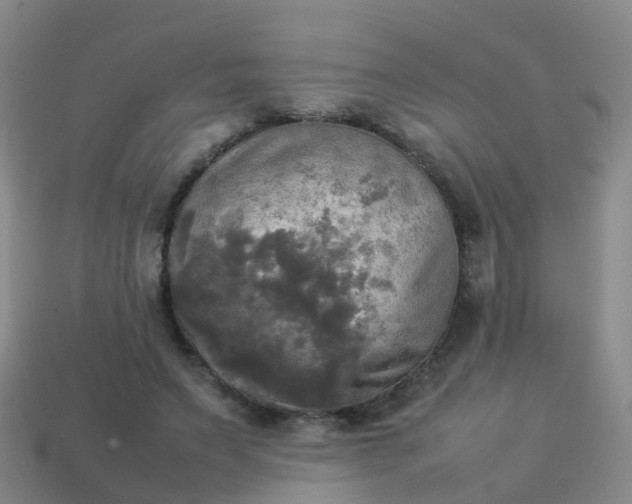 X0000114110495200910191706