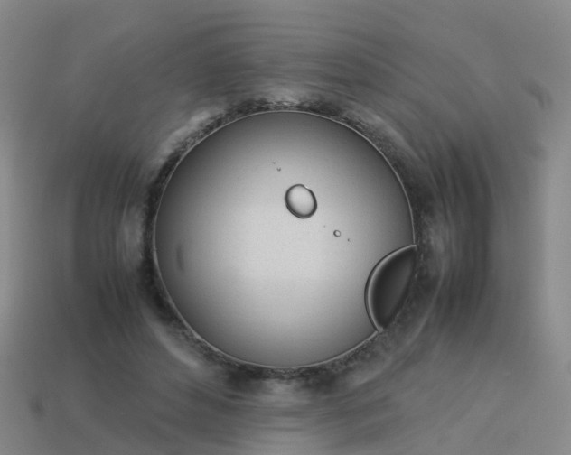 X0000114110496200910191706