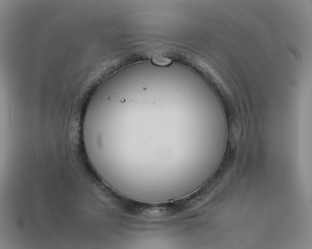 X0000114110497200910191706