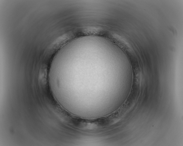 X0000114110498200910191705