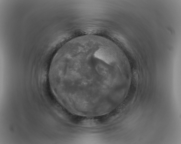 X0000114110499200910191705