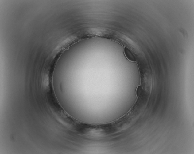 X0000114110500200910191705