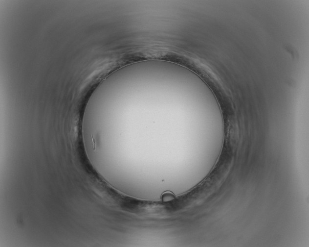 X0000114110501200910191705