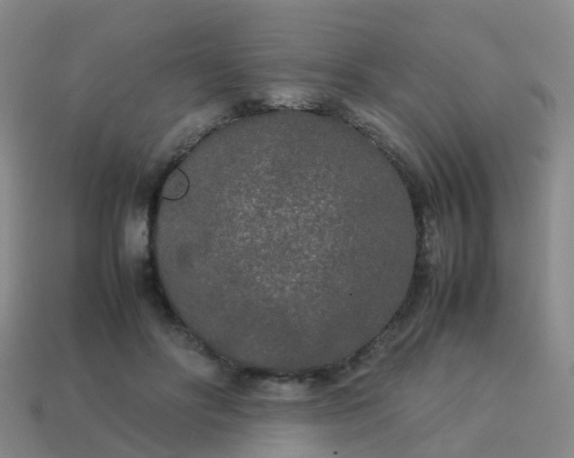 X0000114110502200910191705