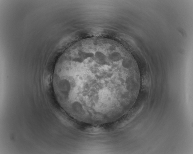 X0000114110503200910191705