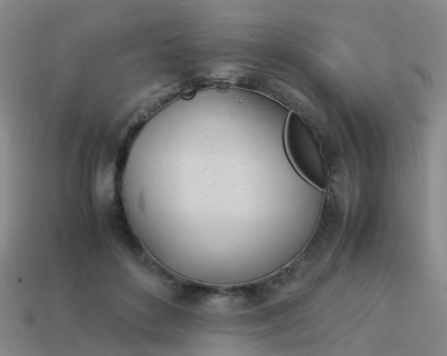 X0000114110504200910191705