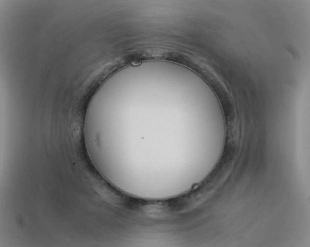 X0000114110505200910191705