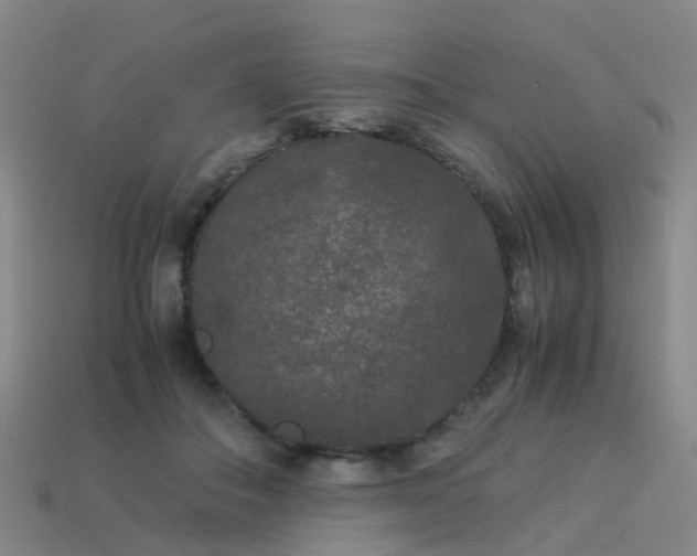 X0000114110506200910191705