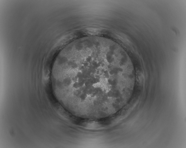 X0000114110507200910191705