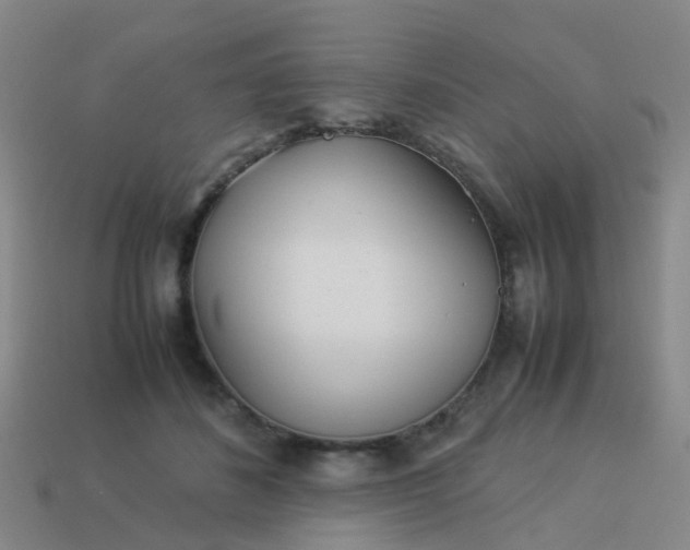 X0000114110508200910191705