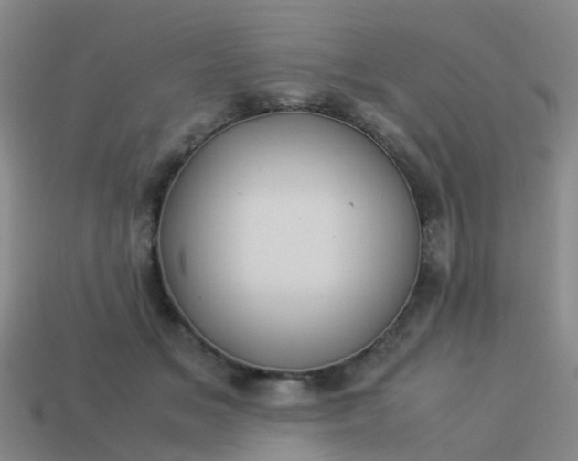 X0000114110509200910191705