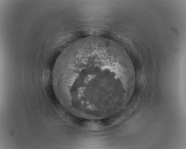 X0000114110511200910191705