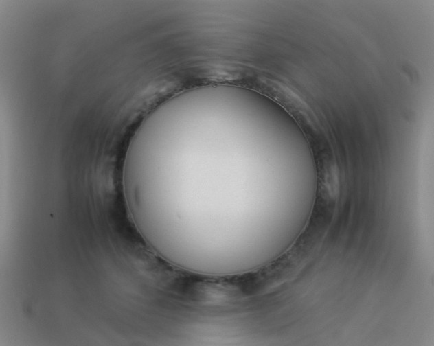 X0000114110512200910191705