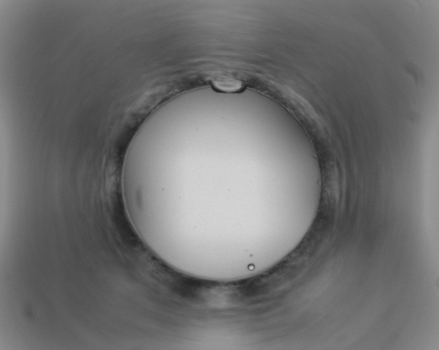 X0000114110513200910191705