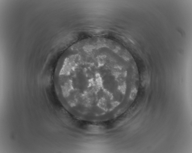 X0000114110515200910191705