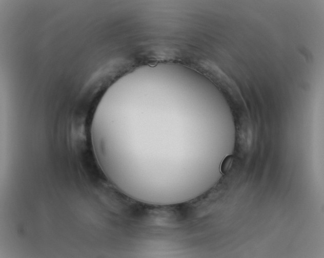 X0000114110516200910191705