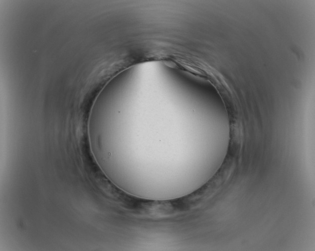 X0000114110517200910191705