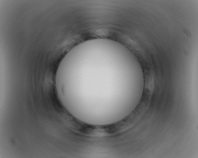 X0000114110518200910191705