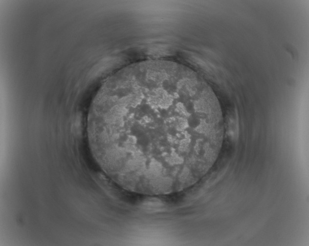 X0000114110519200910191705