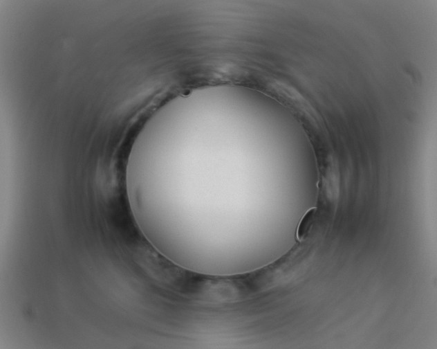 X0000114110520200910191705