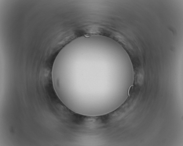 X0000114110521200910191705