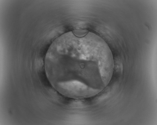 X0000114110523200910191705