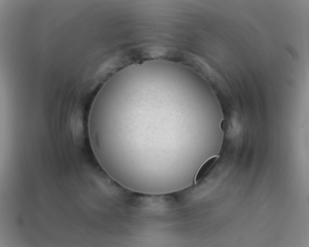 X0000114110524200910191705