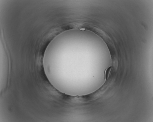 X0000114110525200910191705