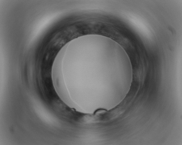 X0000114110526200910191705