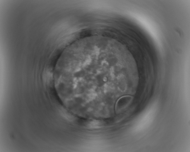 X0000114110527200910191705