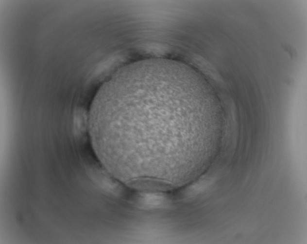 X0000114110528200910191705