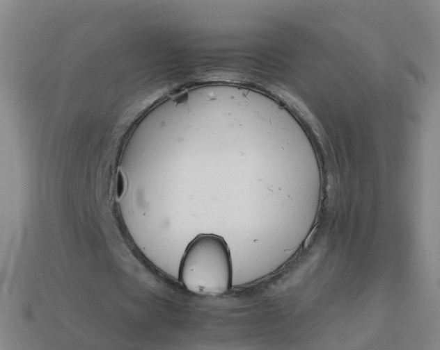 X0000114110529200910191704