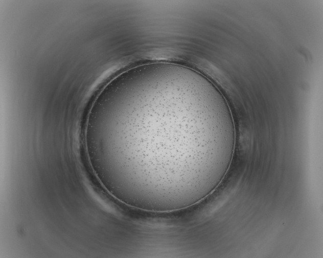 X0000114110530200910191704