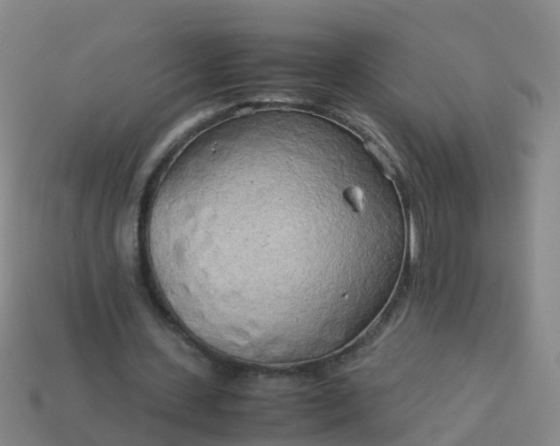 X0000114110531200910191704