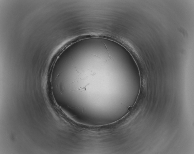 X0000114110532200910191704