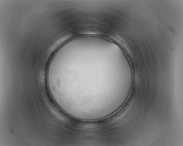 X0000114110533200910191704