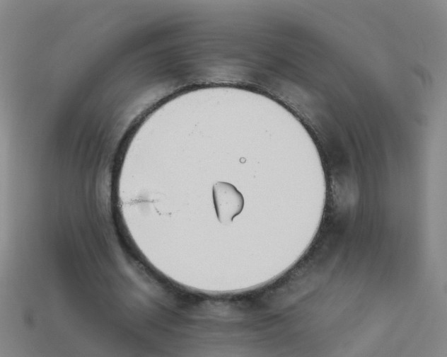 X0000114110534200910191704