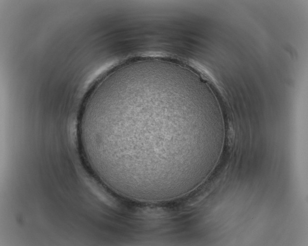 X0000114110535200910191704