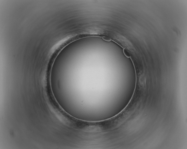 X0000114110536200910191704