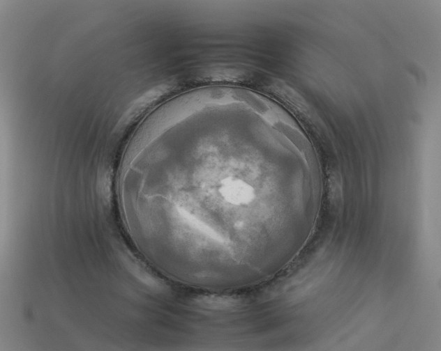 X0000114110537200910191704