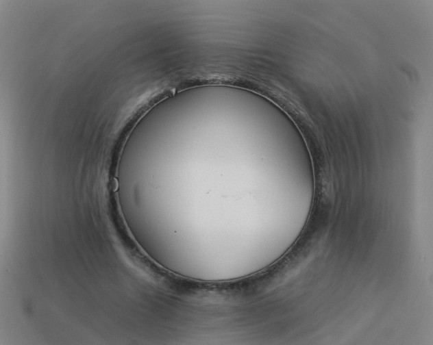 X0000114110538200910191704