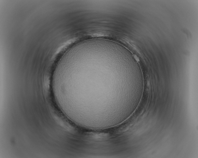 X0000114110539200910191704