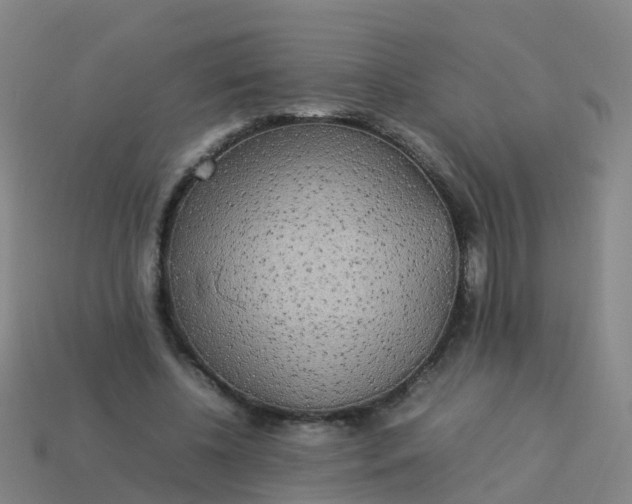 X0000114110540200910191704