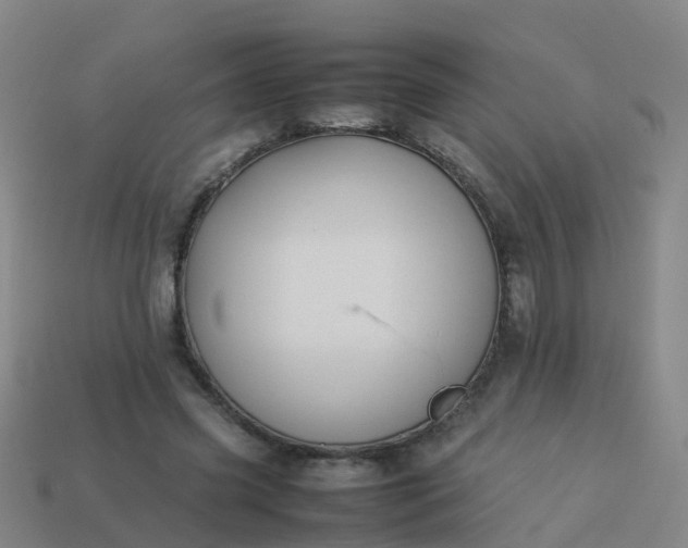 X0000114110541200910191704