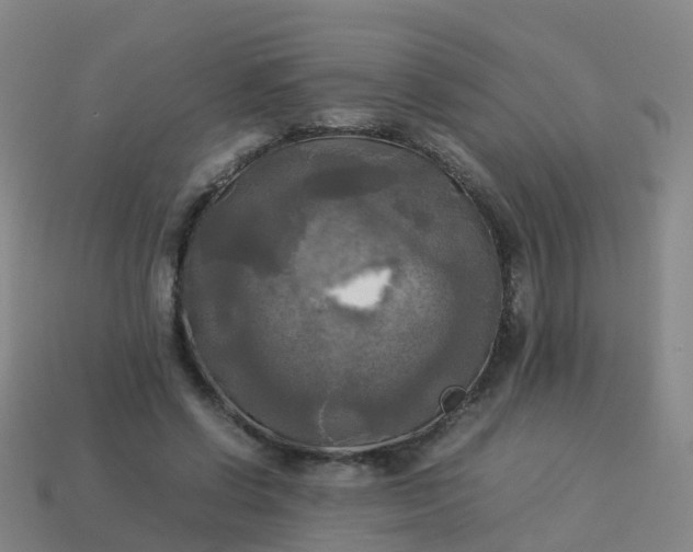 X0000114110542200910191704