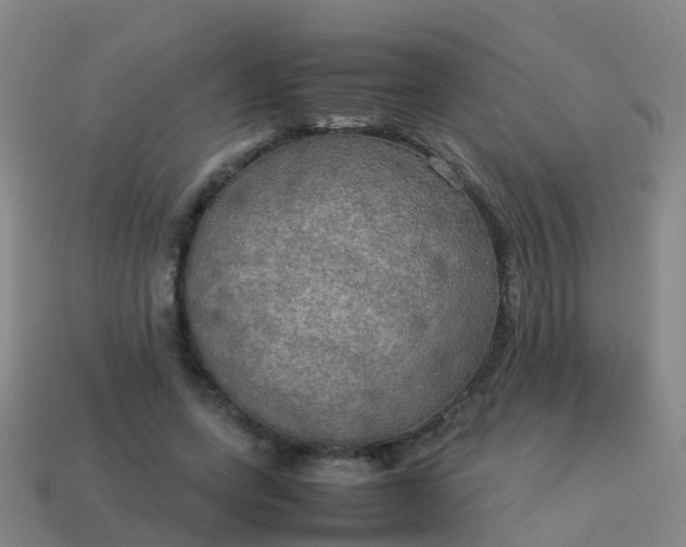 X0000114110543200910191705