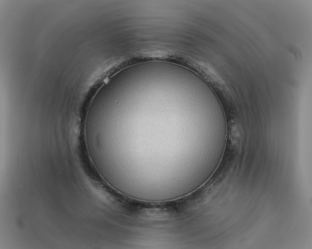 X0000114110544200910191705